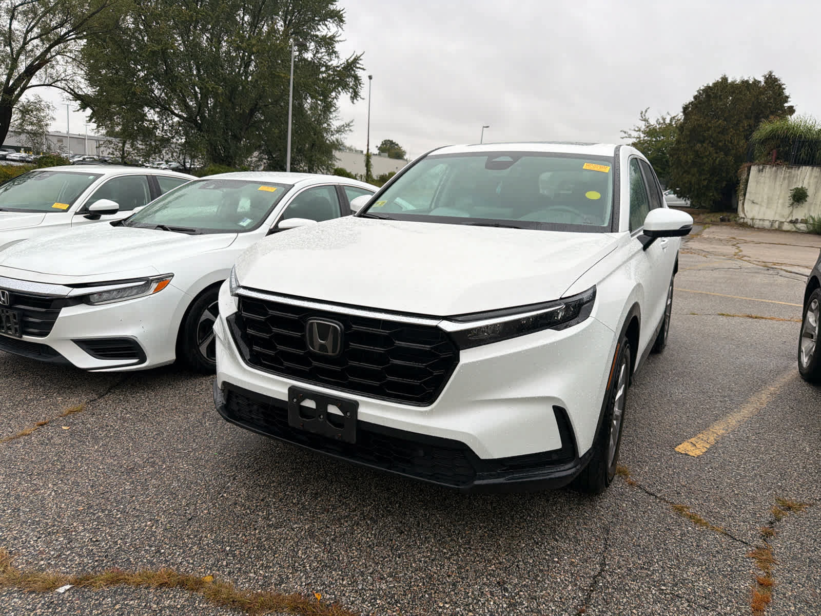 Used 2025 Honda CR-V EX-L image 9