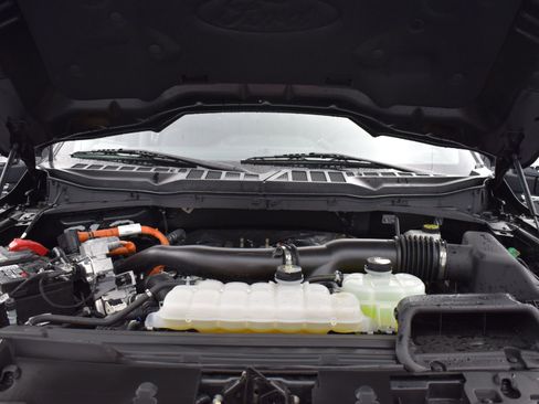 Used 2024 Ford F150 XLT w/ Equipment Group 303A High image 24