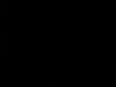 Used 2019 Ford F150 Lariat w/ FX4 Off-Road Package image 26