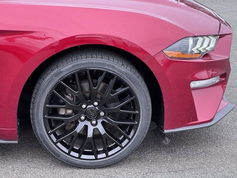 Used 2019 Ford Mustang Premium w/ Equipment Group 201A image 36