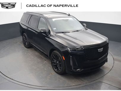 Certified 2024 Cadillac Escalade Sport Platinum w/ LPO, ONYX Package