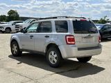 Used 2008 Ford Escape XLT image 3