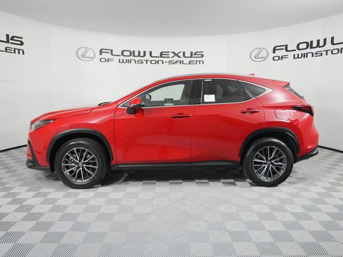 Certified 2025 Lexus NX 250 Premium SUV image 4