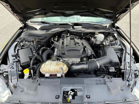 Certified 2019 Ford Mustang Premium RWD image 34