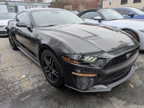 Used 2023 Ford Mustang Coupe w/ Equipment Group 101A image 3