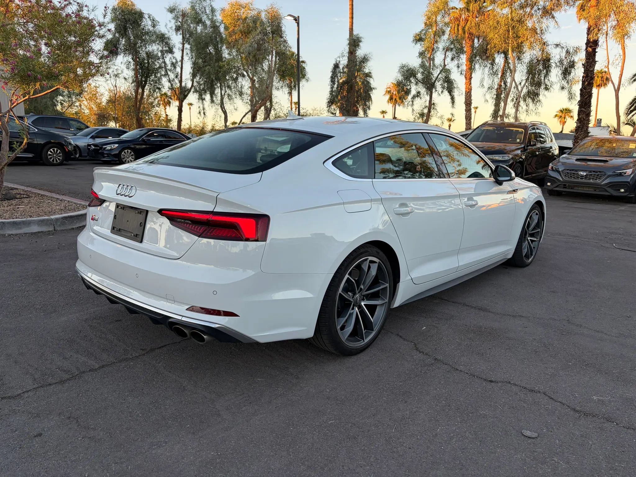 Used 2019 Audi S5 Premium Plus w/ Premium Plus AWD/4WD image 5