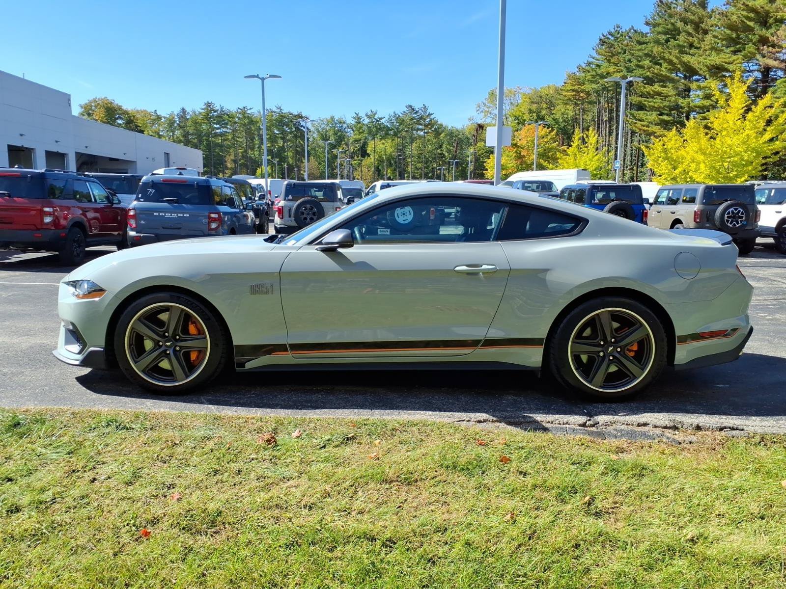 Used 2022 Ford Mustang Mach 1 w/ Equipment Group 700A RWD image 7