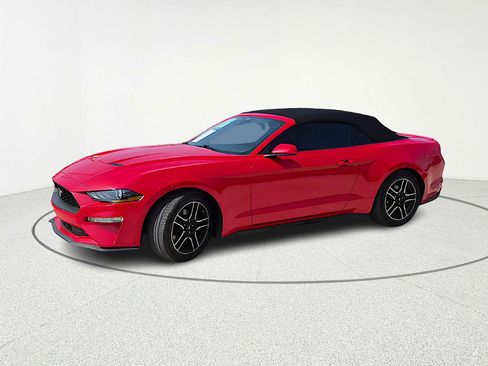 Used 2023 Ford Mustang Premium image 7