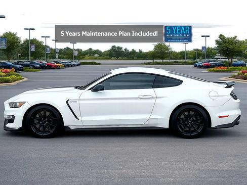 Used 2017 Ford Mustang Shelby GT350 w/ Electronics Package RWD image 2