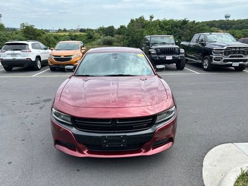 Used 2019 Dodge Charger SXT w/ Blacktop Package RWD image 8