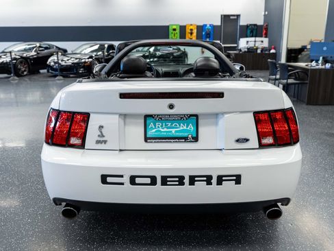Used 2004 Ford Mustang Cobra RWD image 6