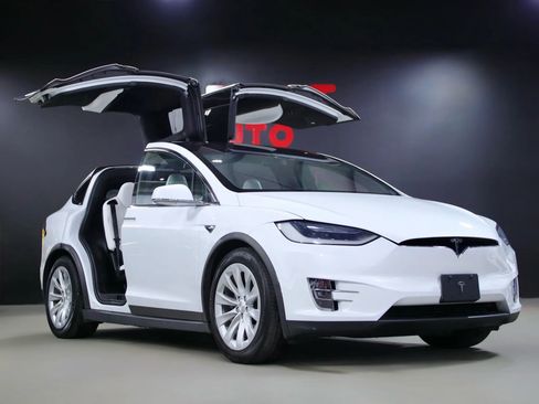 Used 2019 Tesla Model X 100D image 1