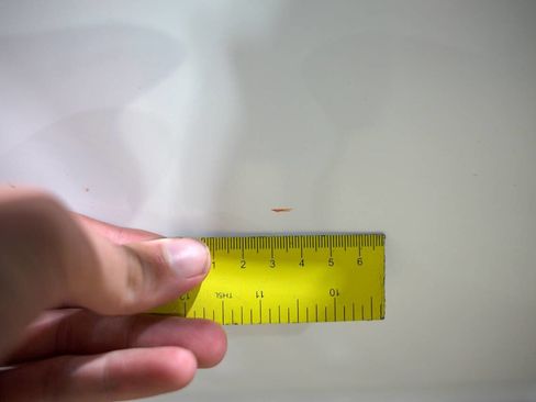 Used 2007 Dodge Ram 2500 Truck SLT w/ Quad Cab Big Horn Value Group image 30