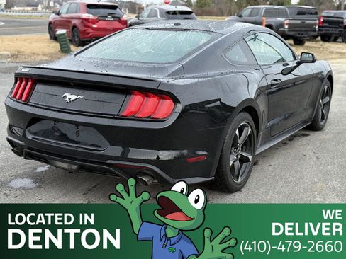 Used 2019 Ford Mustang Coupe w/ Equipment Group 101A image 5