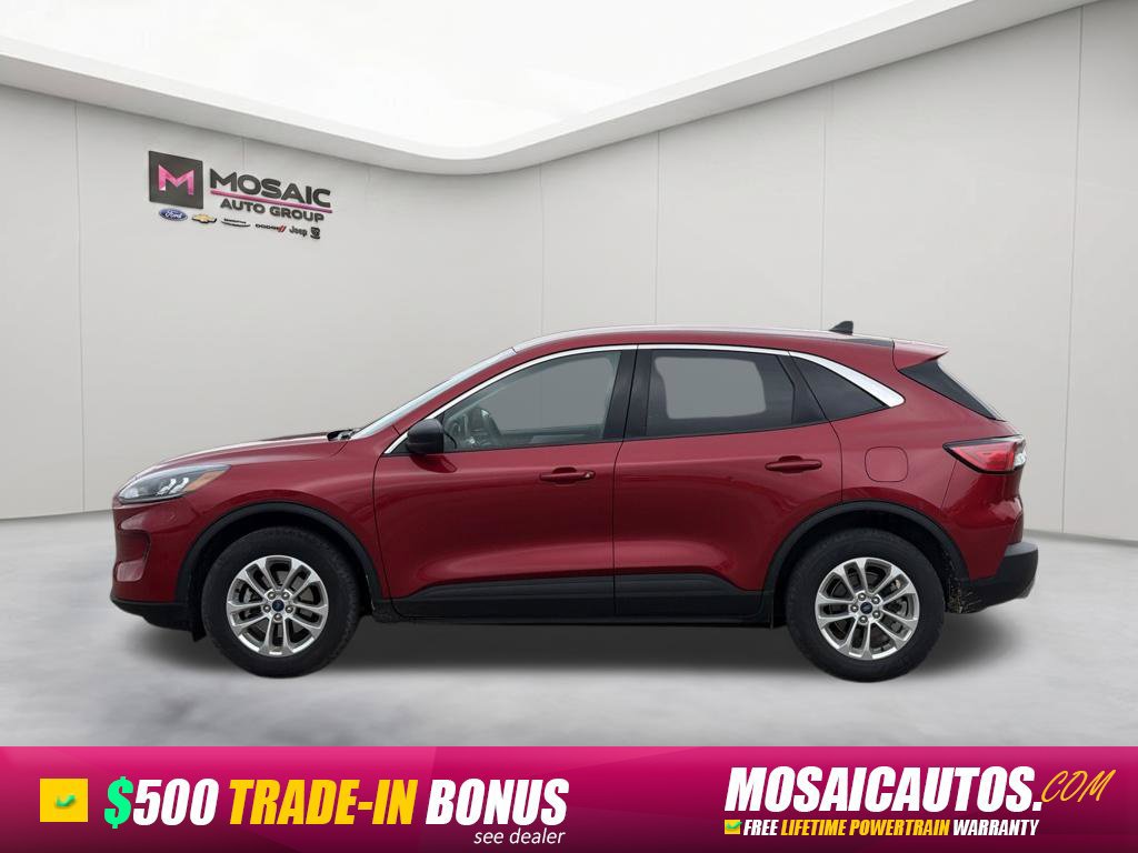 Used 2022 Ford Escape SE w/ Convenience Package AWD/4WD image 4
