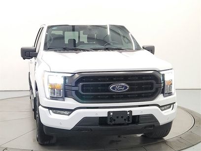 Used 2023 Ford F150 XLT w/ Equipment Group 302A High