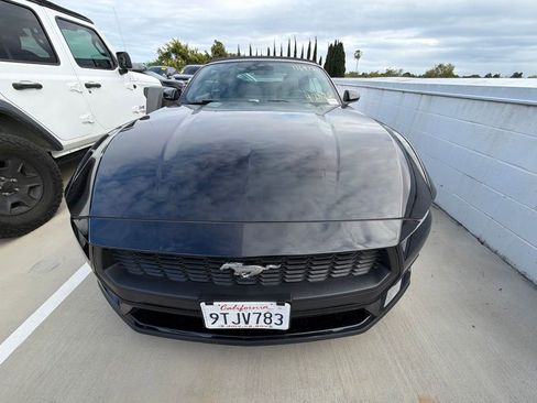 Used 2025 Ford Mustang Convertible RWD image 1