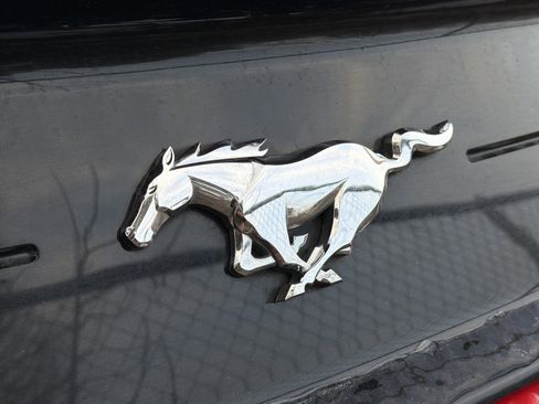 Used 2018 Ford Mustang Premium w/ Equipment Group 201A image 9