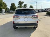 Used 2020 Ford Escape Titanium image 5
