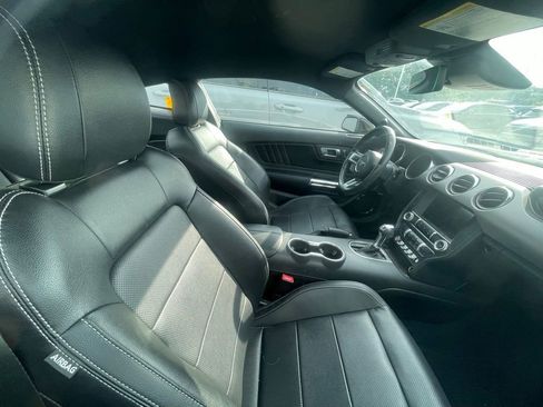 Used 2023 Ford Mustang Premium w/ Mustang Nite Pony Package RWD image 7