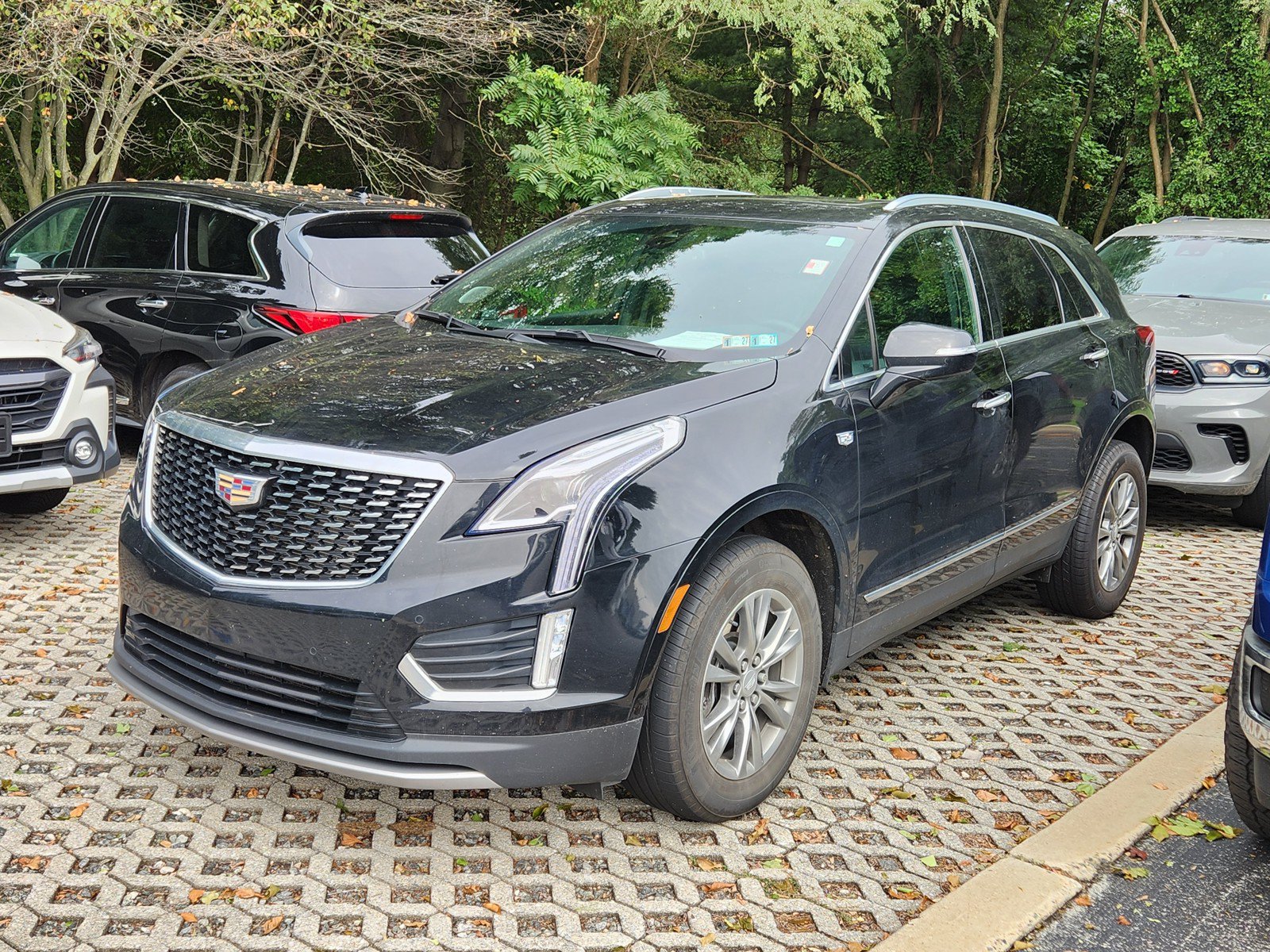 Used 2022 Cadillac XT5 Premium Luxury AWD/4WD image 1