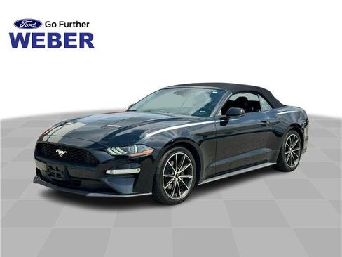 Certified 2019 Ford Mustang Premium w/ Equipment Group 201A RWD image 1