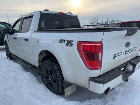 Used 2022 Ford F150 XL w/ STX Black Appearance Package image 4