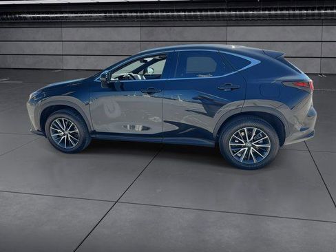 Certified 2024 Lexus NX 350h AWD w/ Cold Area Package image 5