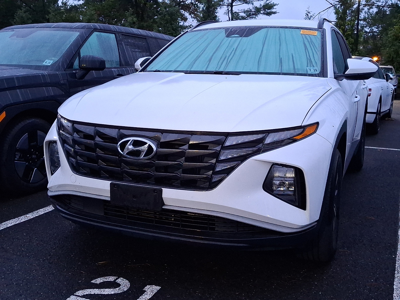 Used 2024 Hyundai Tucson Blue AWD/4WD image 2