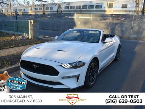 Used 2023 Ford Mustang Premium w/ Equipment Group 201A RWD image 2