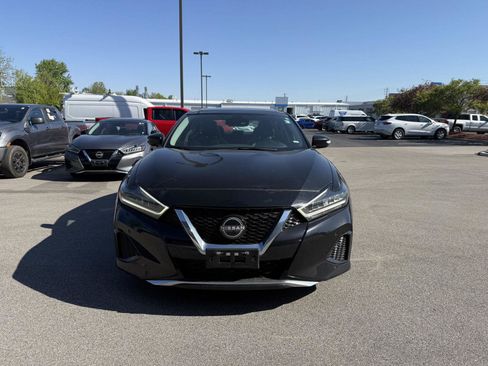 Used 2023 Nissan Maxima SL FWD image 6