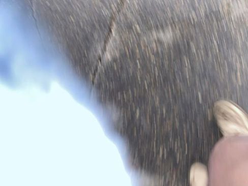 Used 2023 Ford Escape Active image 18