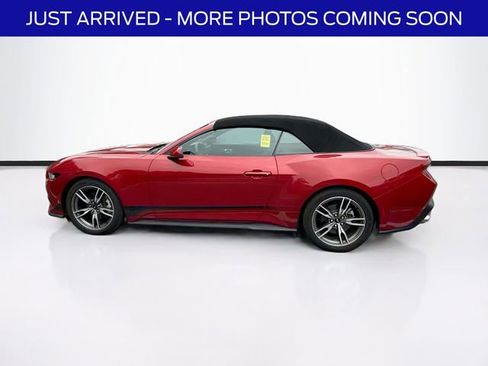 Used 2024 Ford Mustang Premium RWD image 4