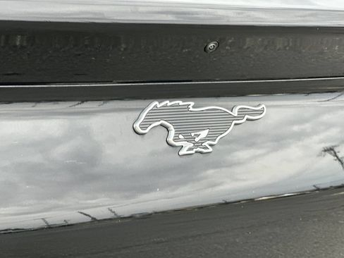 Used 2023 Ford Mustang Mach-E California Route 1 AWD/4WD image 24