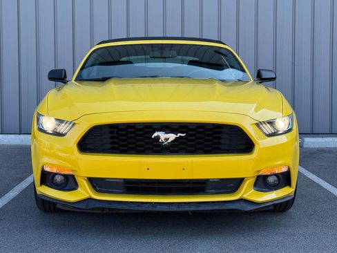 Used 2015 Ford Mustang Convertible w/ Equipment Group 051A image 2