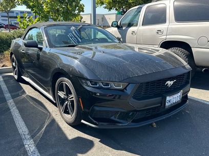 Used 2024 Ford Mustang Premium