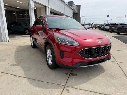 Used 2020 Ford Escape SE image 3