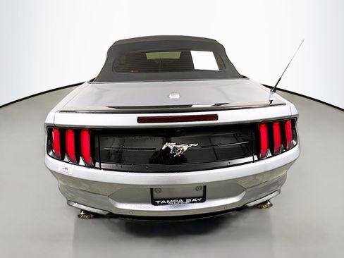 Used 2023 Ford Mustang Premium image 6