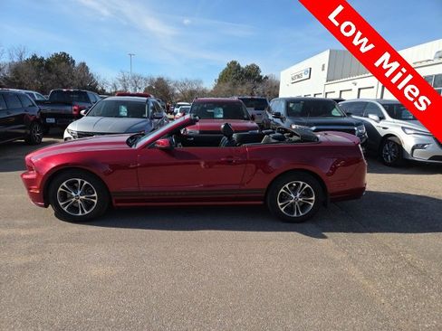 Used 2014 Ford Mustang Premium w/ Equipment Group 201A image 2