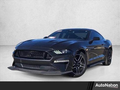 Used 2023 Ford Mustang GT w/ Equipment Group 301A RWD image 1