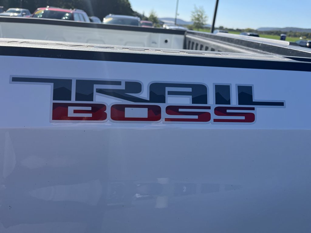 Certified 2021 Chevrolet Silverado 1500 Custom Trail Boss AWD/4WD image 29