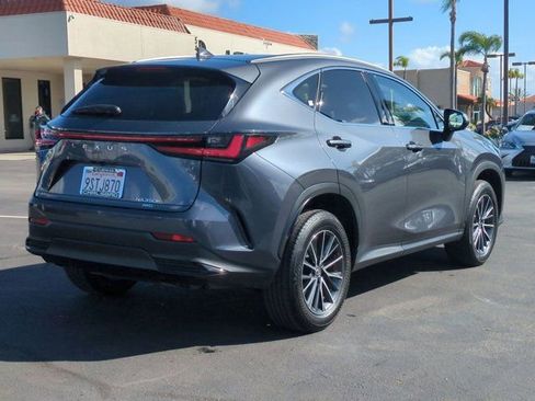 Used 2025 Lexus NX 350h AWD w/ Cold Area Package image 5