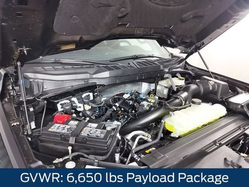 New 2026 Ford F150 XLT w/ Equipment Group 302A MID image 12