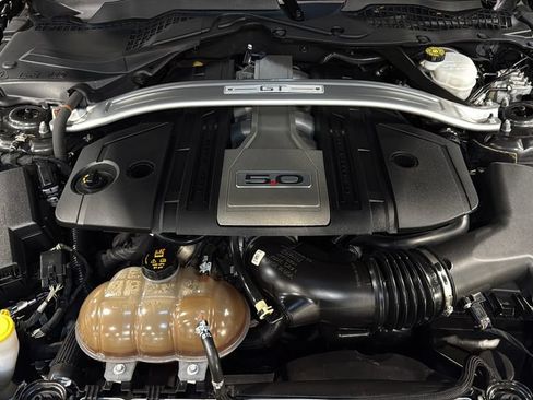 Used 2019 Ford Mustang GT Premium w/ Equipment Group 401A RWD image 31
