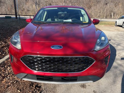 Used 2020 Ford Escape SE image 2