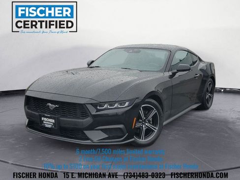 Used 2024 Ford Mustang Coupe image 1