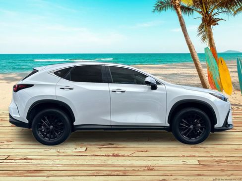 Used 2025 Lexus NX 350h AWD w/ Cold Area Package image 7