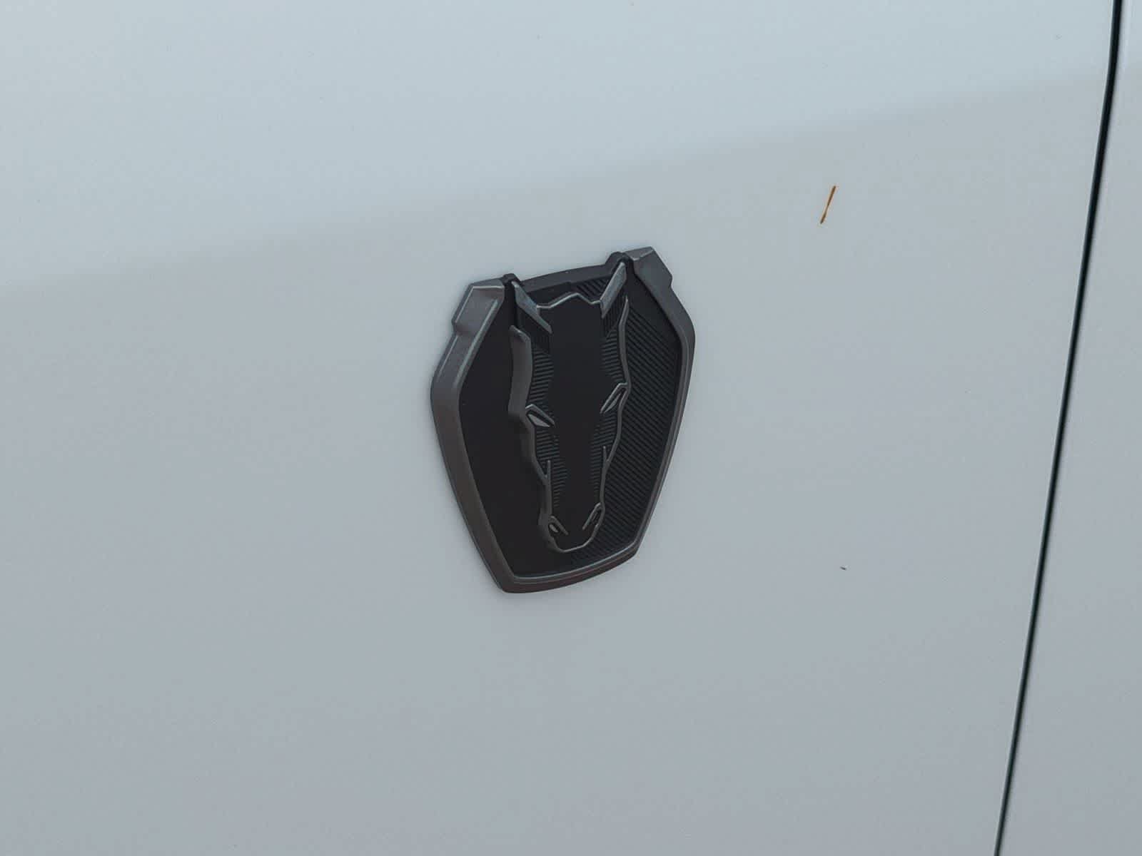 New 2025 Ford Mustang Dark Horse RWD image 29