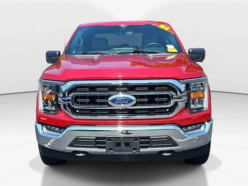 Used 2021 Ford F150 XLT w/ Equipment Group 302A High AWD/4WD image 8