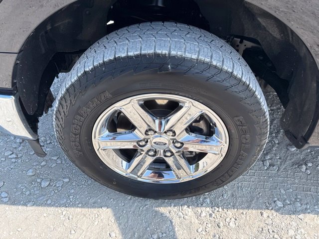 Used 2025 Ford F150 XLT w/ Equipment Group 301A Standard RWD image 26